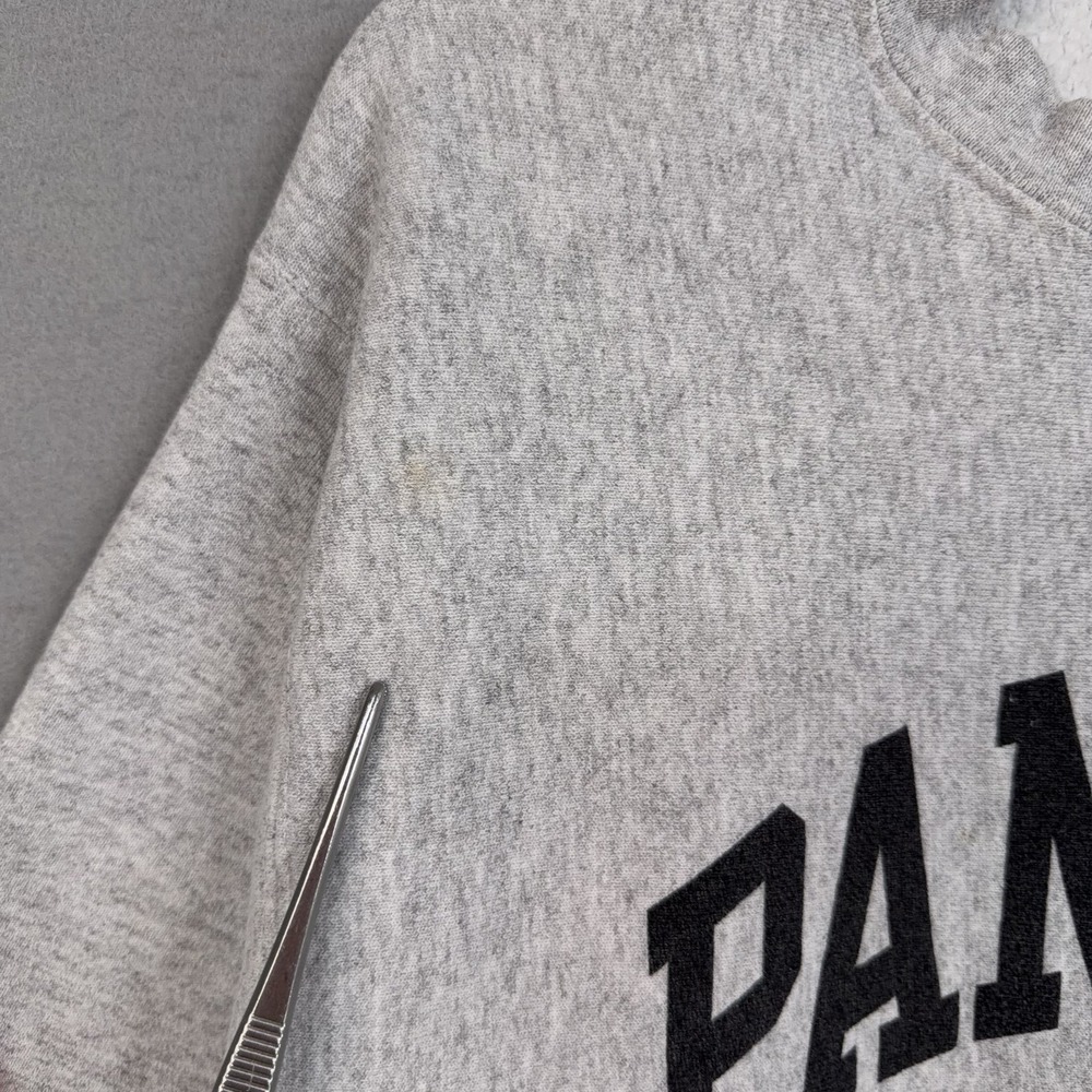 Vintage Carolina Panthers Sweatshirt Mens Large Gray NFL Football Lee Sport 90s - Picture 3 of 12